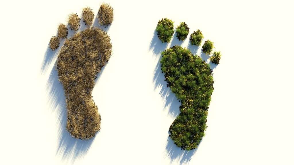 Personal Ecological Footprint Calculator