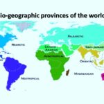 Bio-geographic provinces of the world