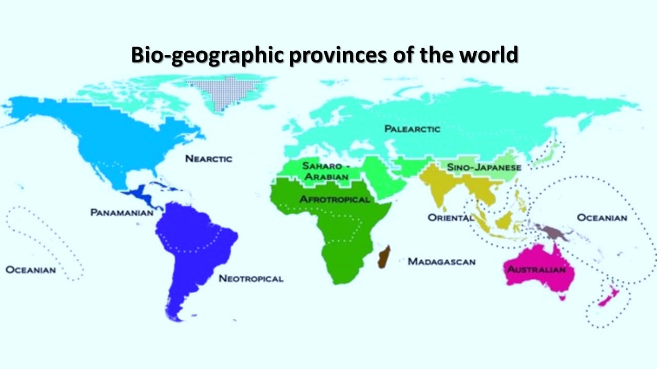 Bio-geographic provinces of the world