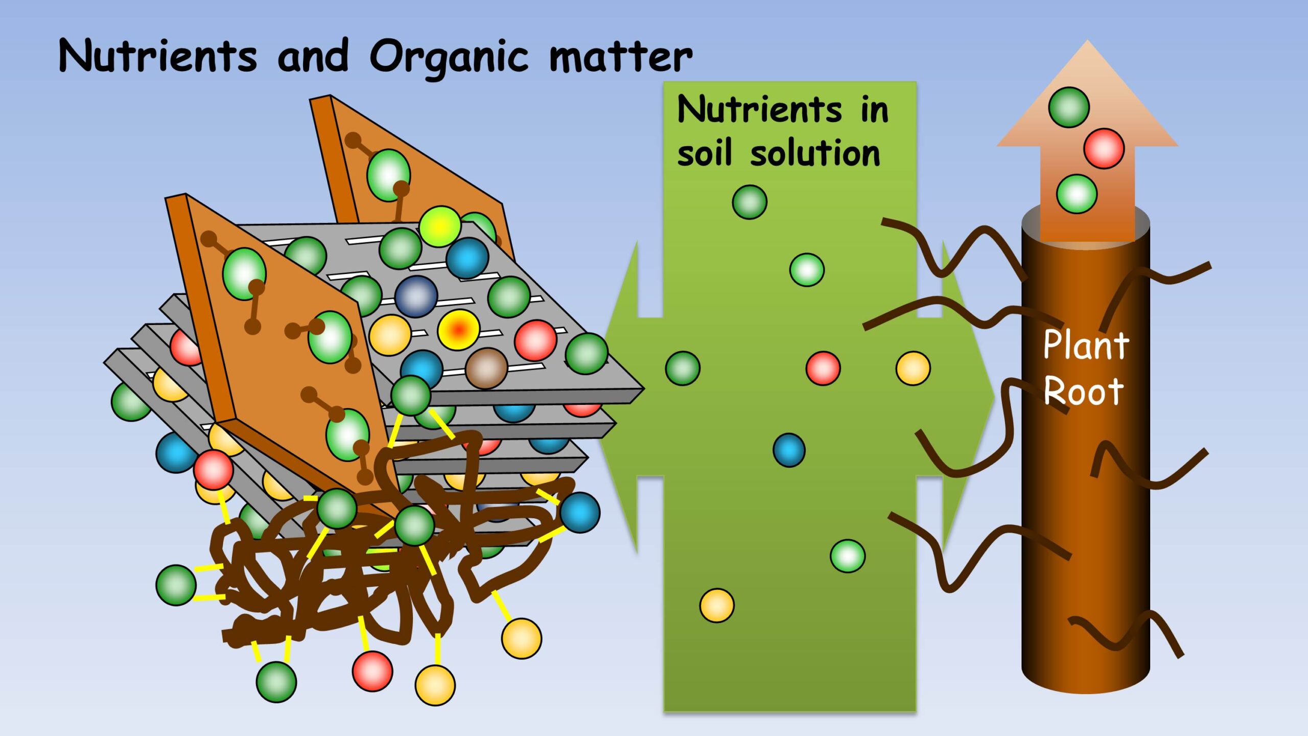 Inorganic and organic components of soils