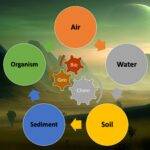 Environmental Chemistry - Biogeochemical cycles