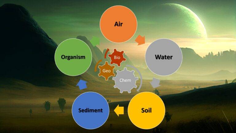 Environmental Chemistry - Biogeochemical cycles