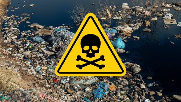 Environmental Chemistry - Toxic Chemicals
