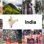 10 Major Environmental Movements of India