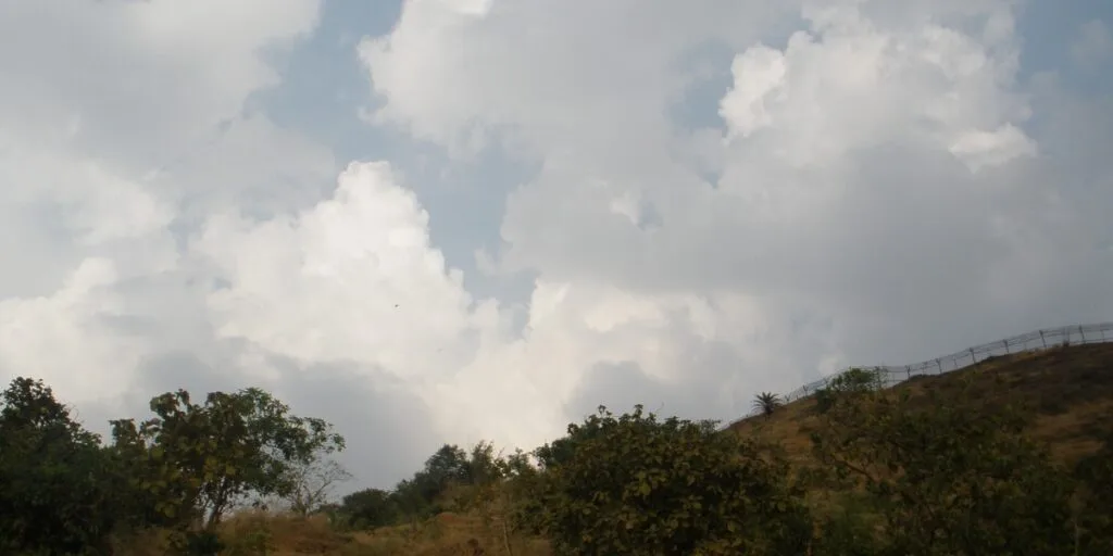 Environmental Governance by International Institutions