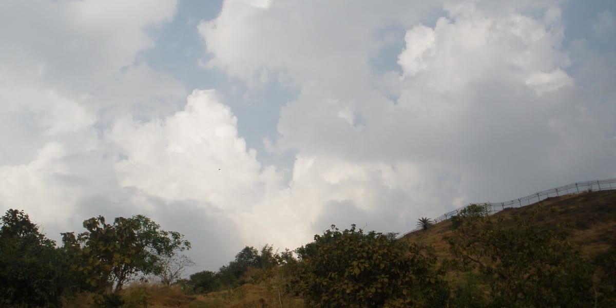 Environmental Governance by International Institutions
