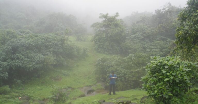 Concepts of Probability Theory