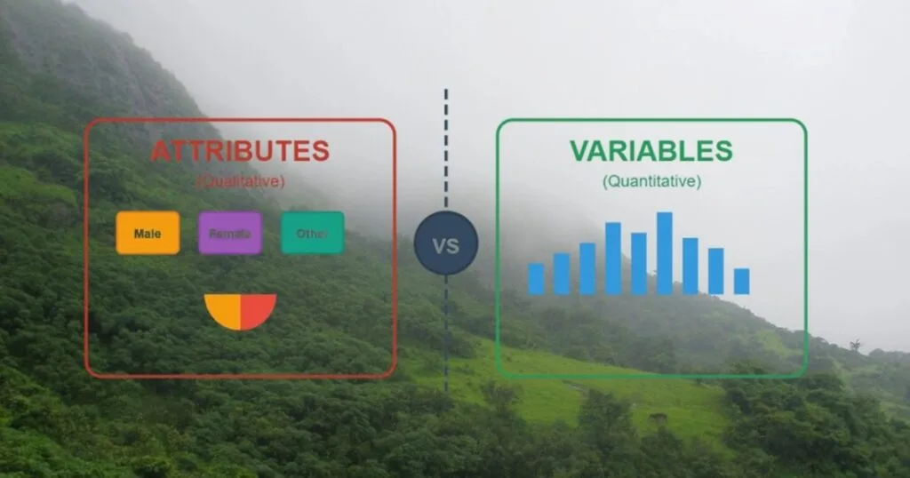 Environmental Statistical Approaches for Attributes and Variables