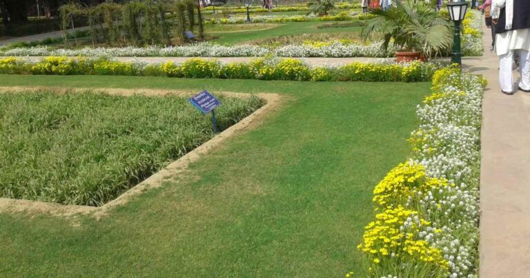 Statistical Significance and Confidence Limits