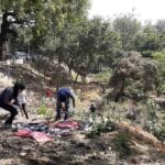 Environmental Challenges of Waste Management