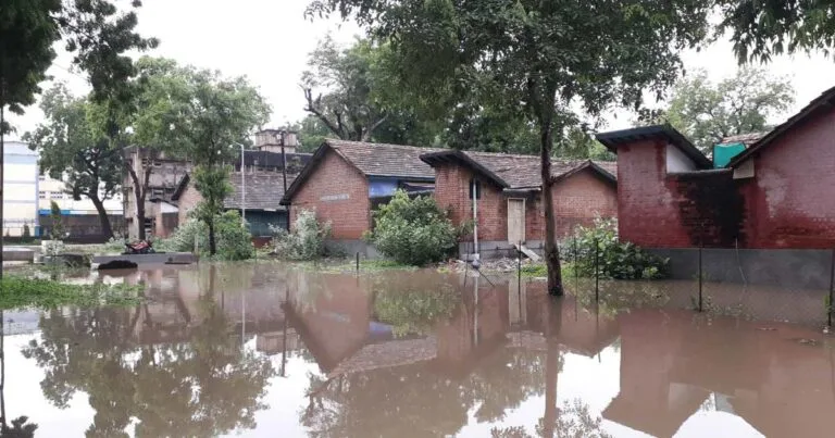 Environmental Disasters and Their Management