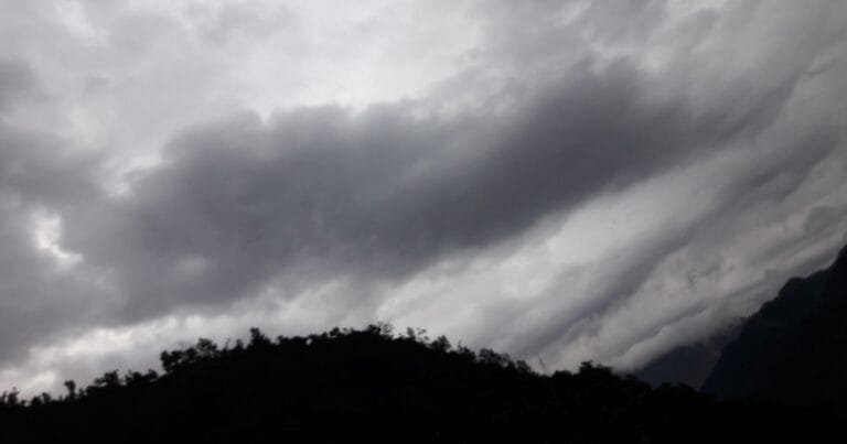 Global Environmental Issues