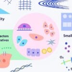 Biophysical Chemistry Core Concepts