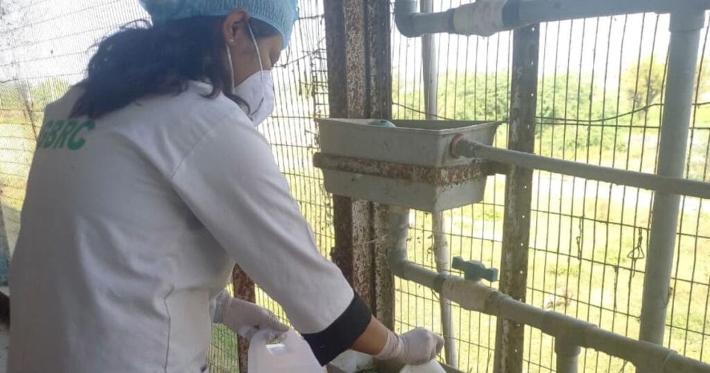 Next-Generation Epidemic Intelligence - Wastewater-Based Epidemiology