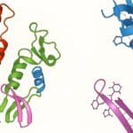 Protein Folding and Structure Guide