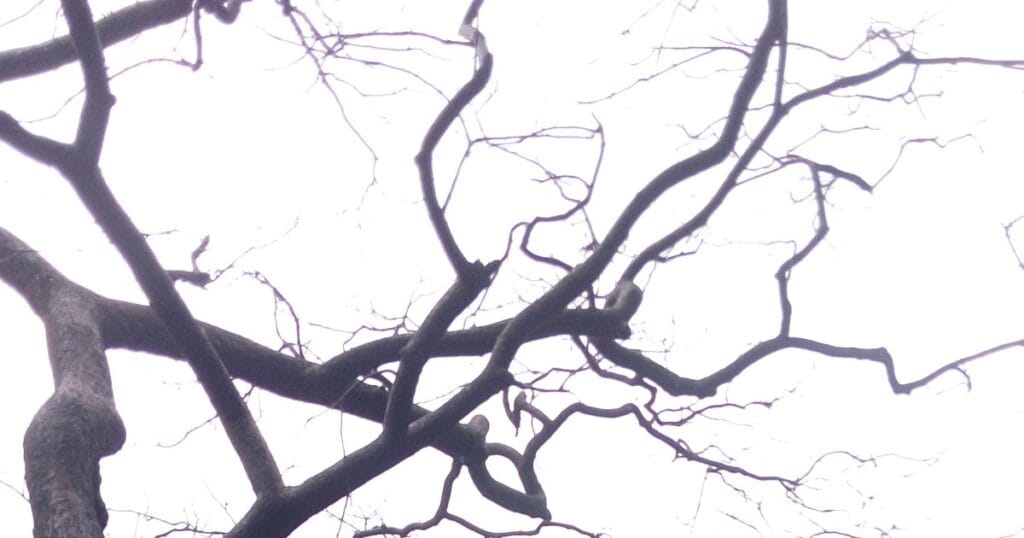 Control of Gene Expression