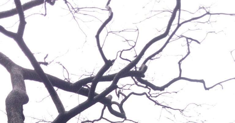 Control of Gene Expression