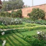 Plant Physiology - Photosynthesis